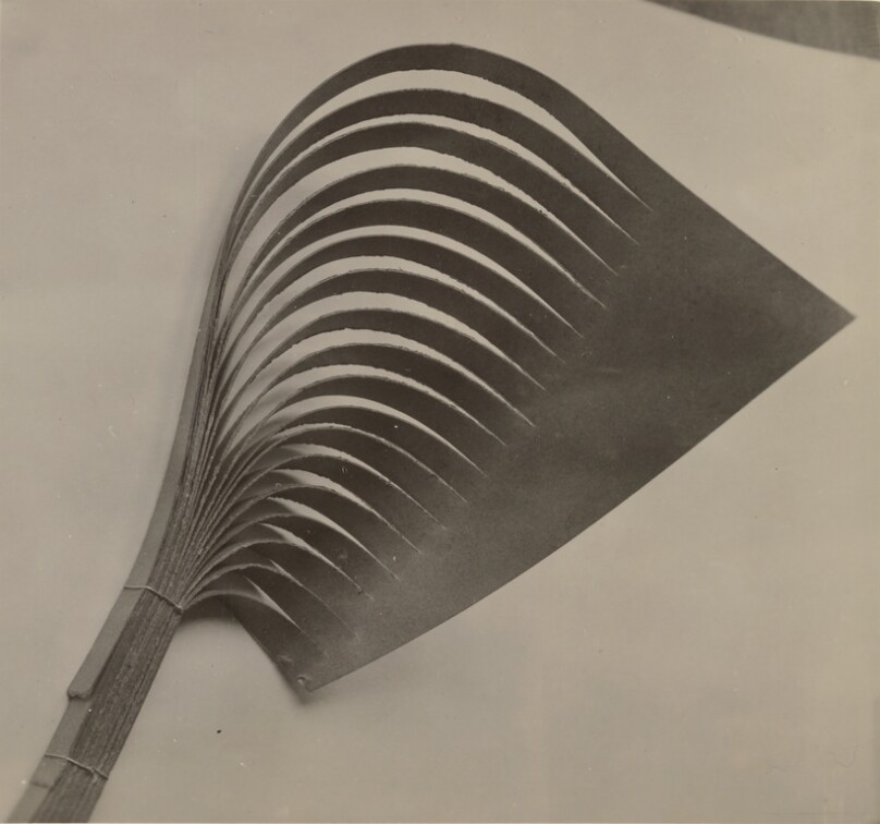 [Fan-shaped Object]
