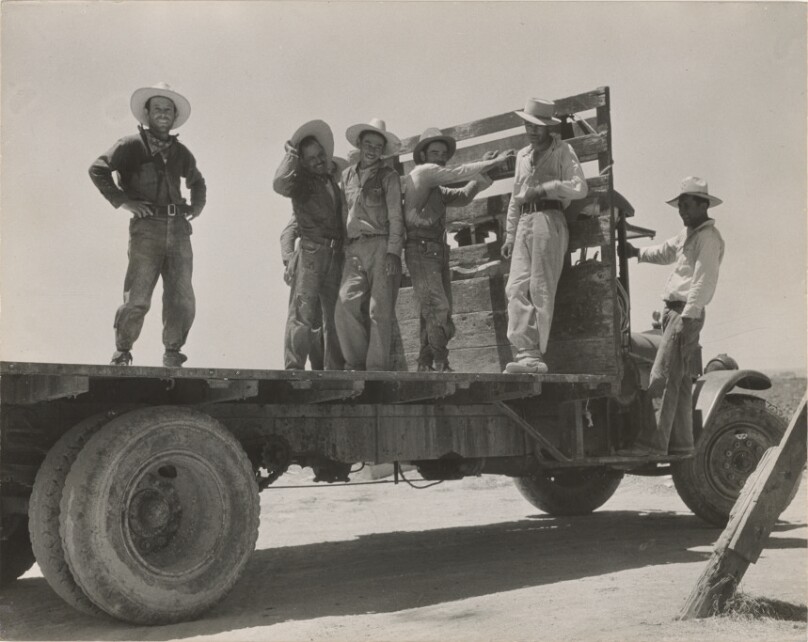 Cantaloupe Pickers, Mexicans, at End of Day in California Melon Fields / Mexican Labor Off for the Melon Fields in the Imperial Valley, California