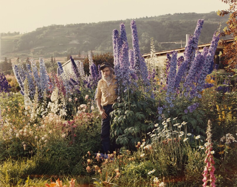 A Blind Man in His Garden, Homer, Alaska