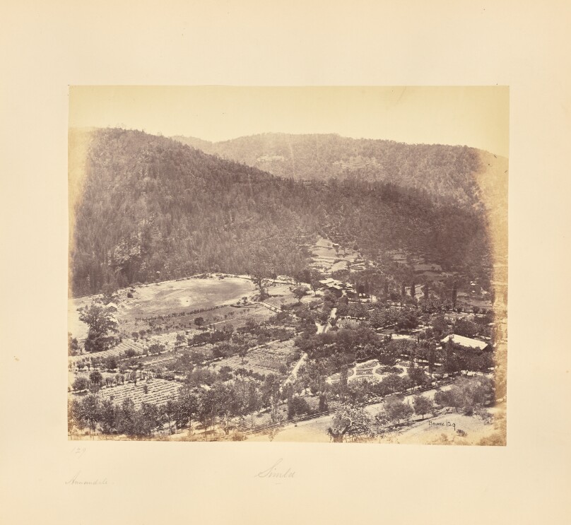 Simla.