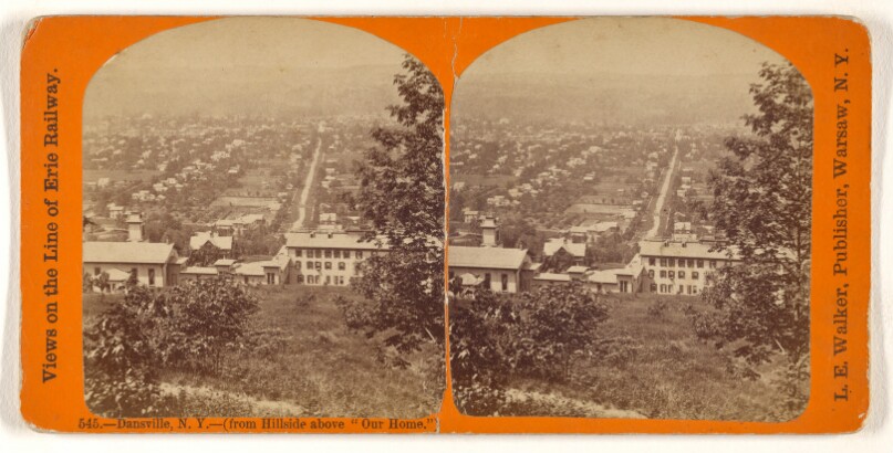 Dansville, N.Y. - (from Hillside above "Our Home.")