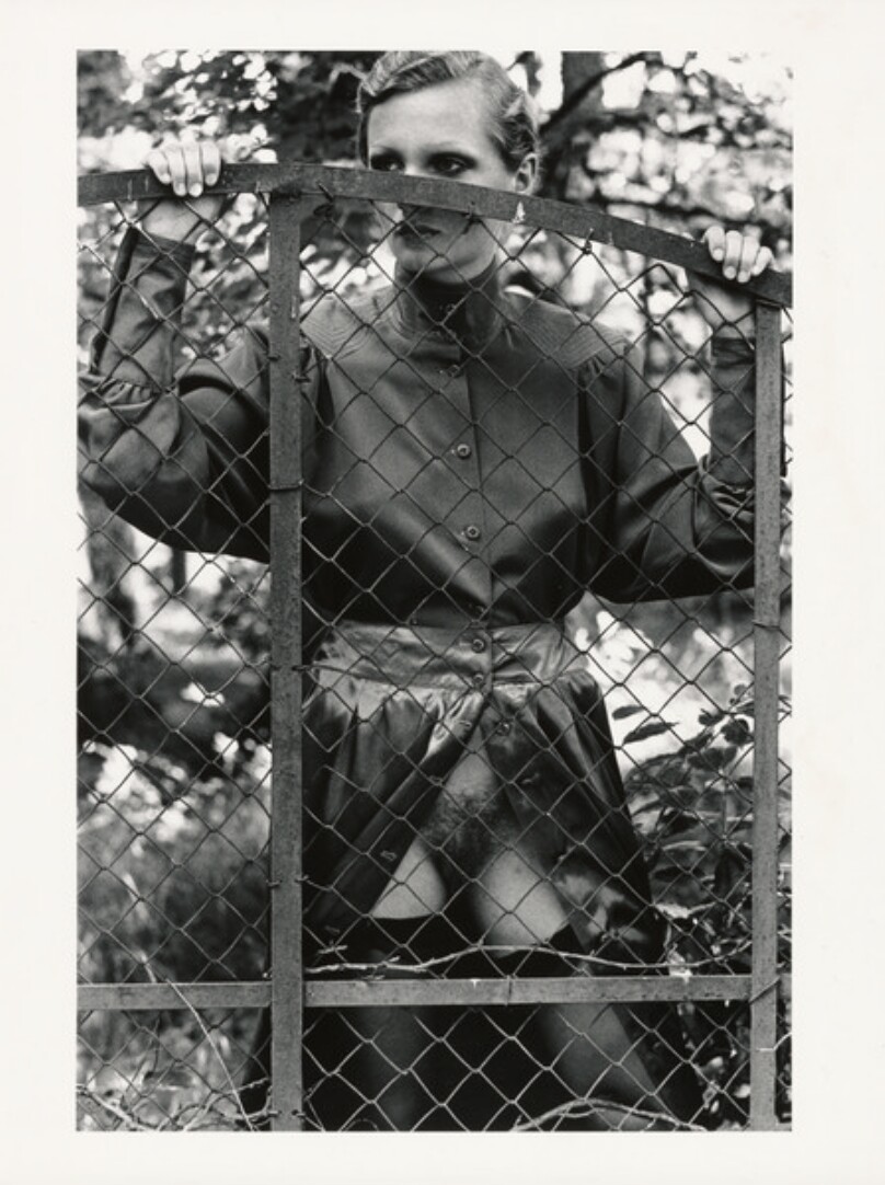 Roselyne Behind Fence