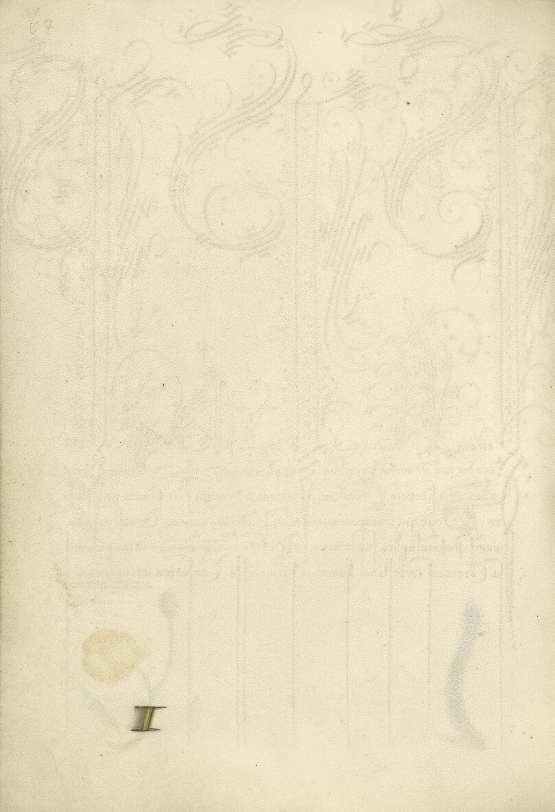 Trompe l'Oeil Stem of a Globeflower