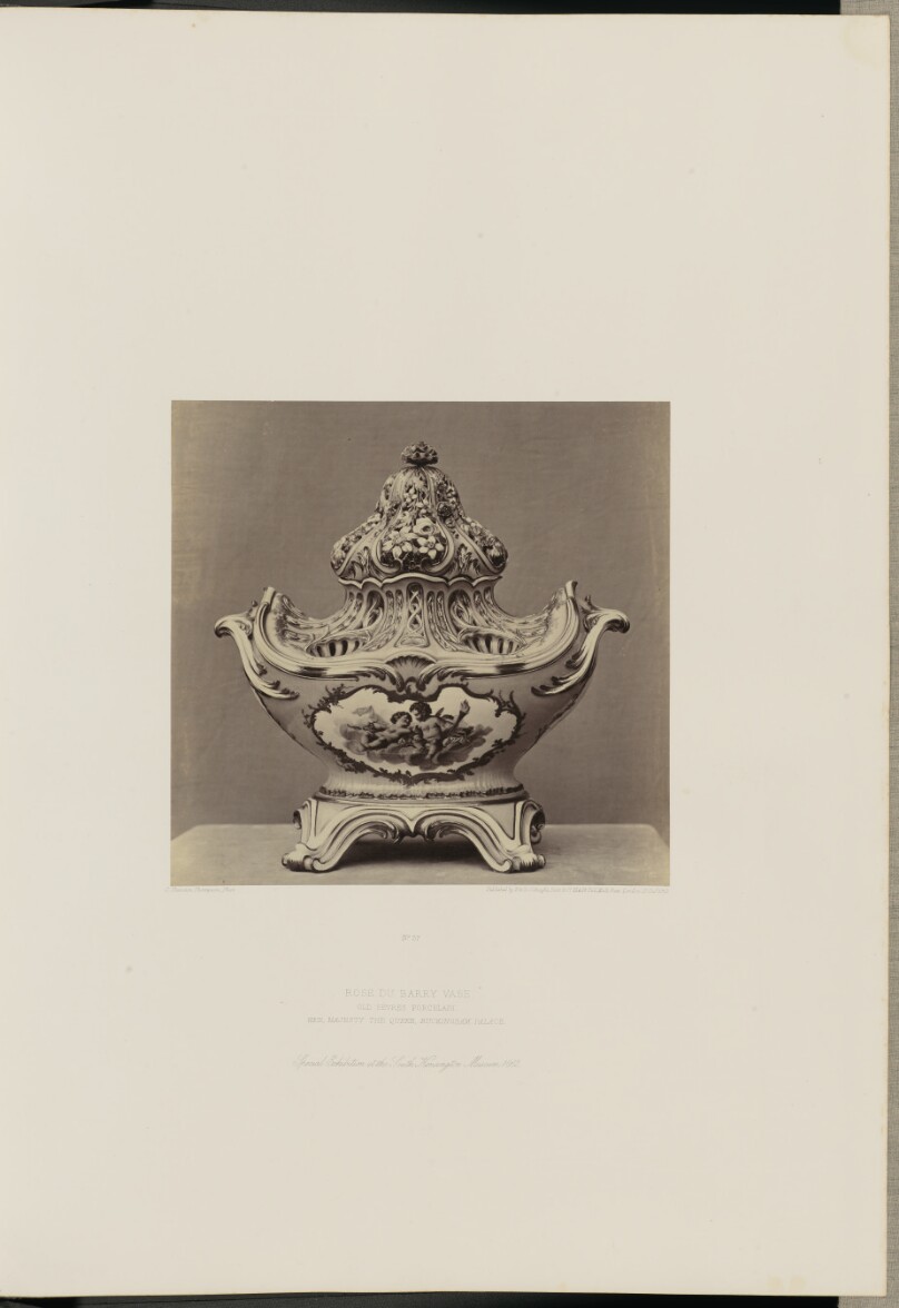 Rose du Barry Vase
