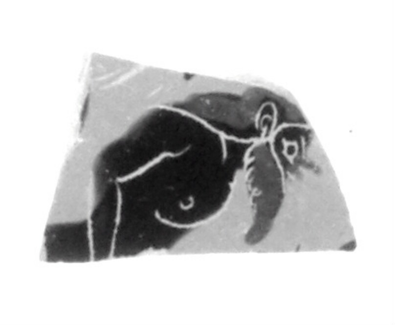 Attic Black-Figure Band Cup Fragment