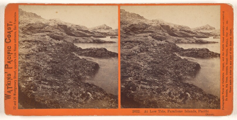 At Low Tide, Farallone [sic] Islands, Pacific Ocean.