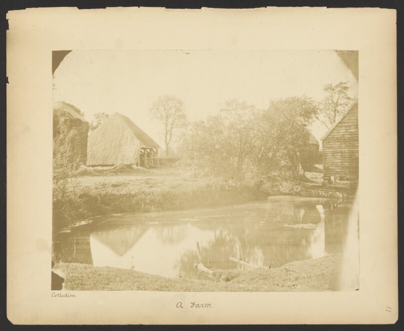A Farm