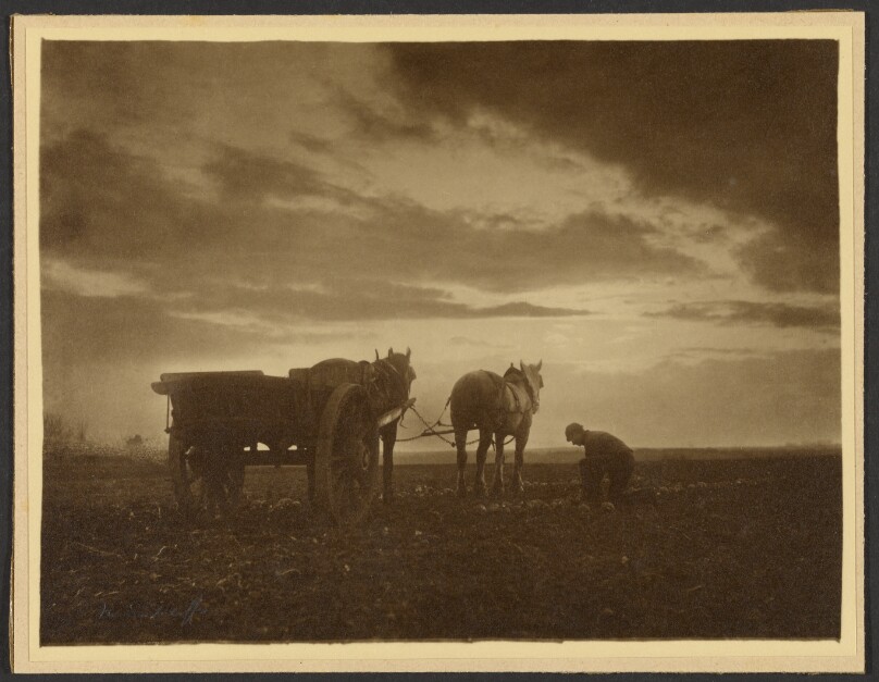 Frank Meadow Sutcliffe