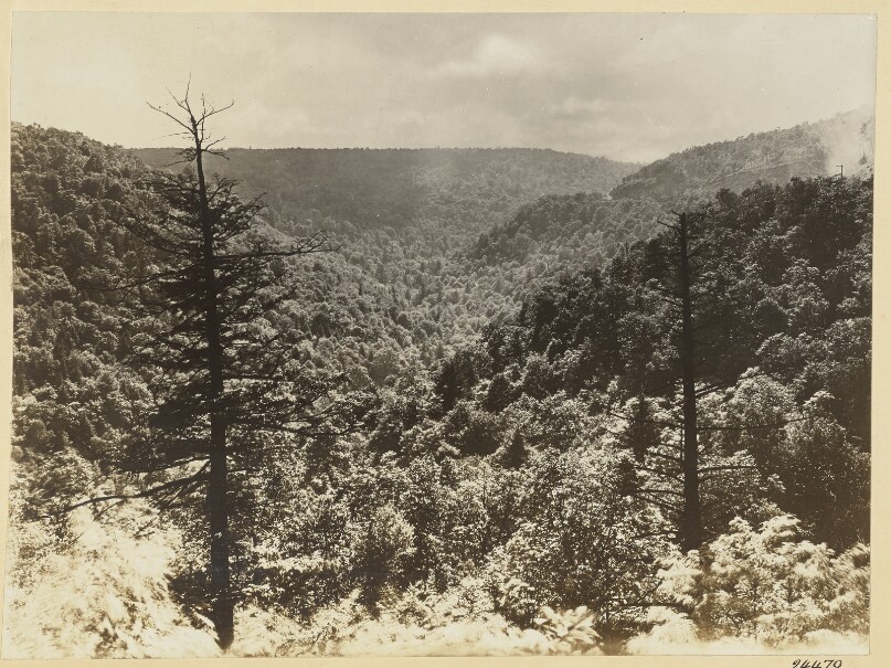 Mountains at Allegrippus