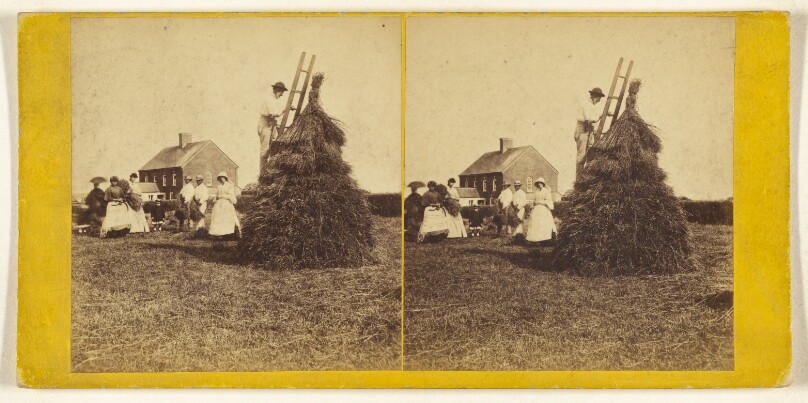 Harvest.
