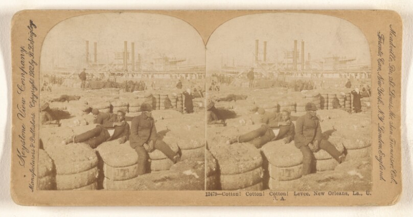 Cotton. Cotton. Cotton. Levee, New Orleans, La., U.S.A.