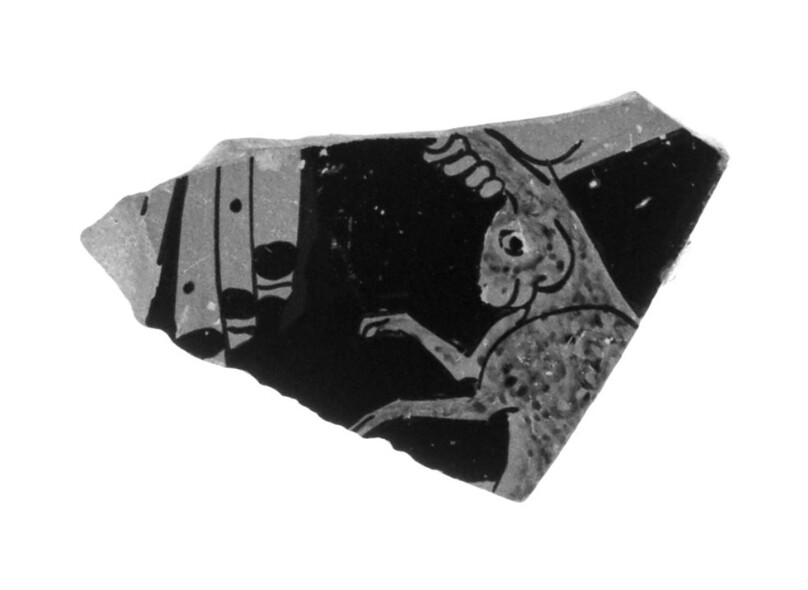 Attic Red-Figure Stamnoid Fragment