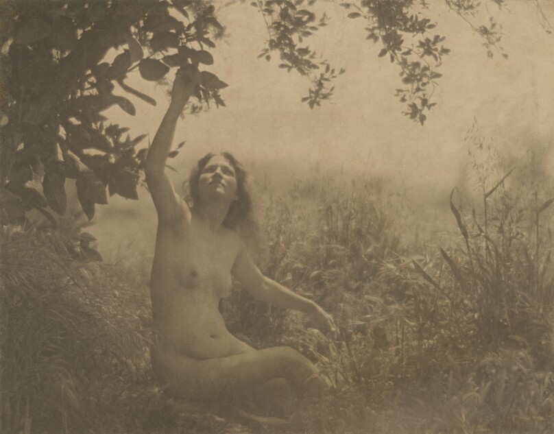 Nude, Flora Chandler Weston (86.XM.719.13)
