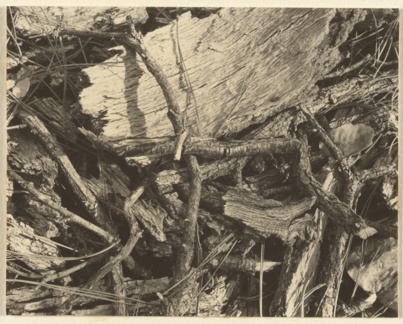 [Untitled Landscape]