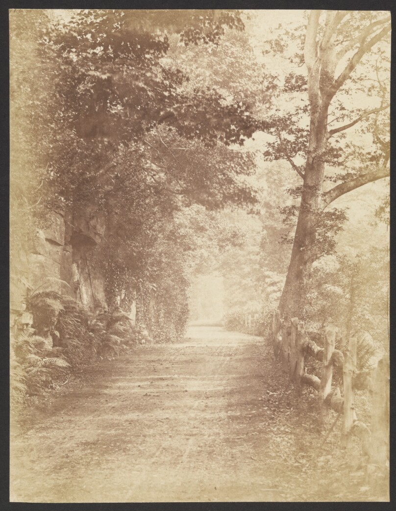 [Country Road]