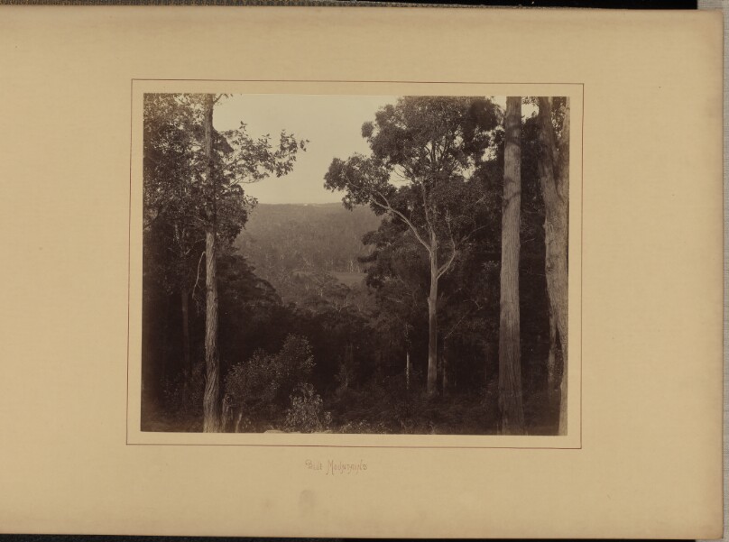 Blue Mountains