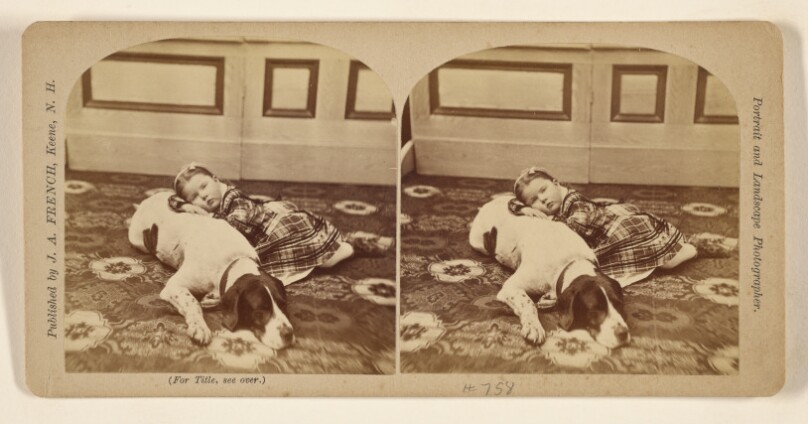 [Bessie and Bose.]