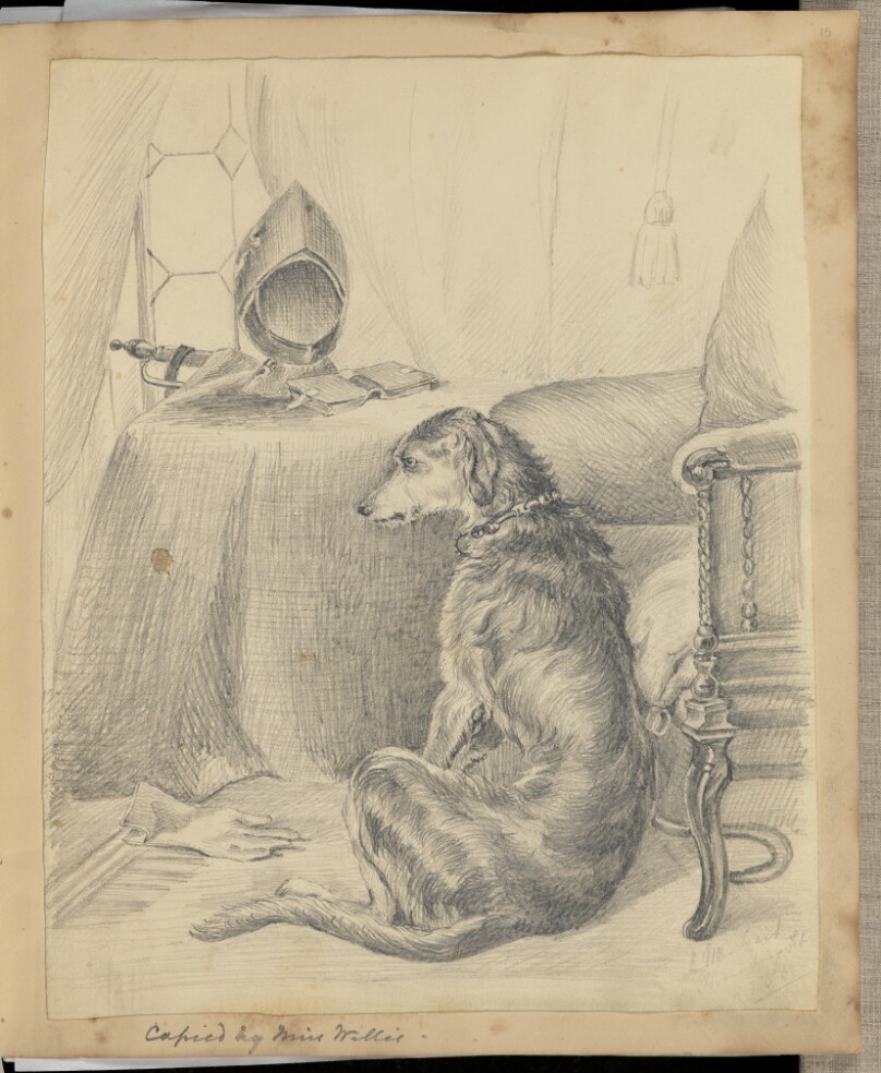 [sketch of a dog]