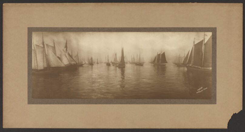 [Sailboats in harbor]