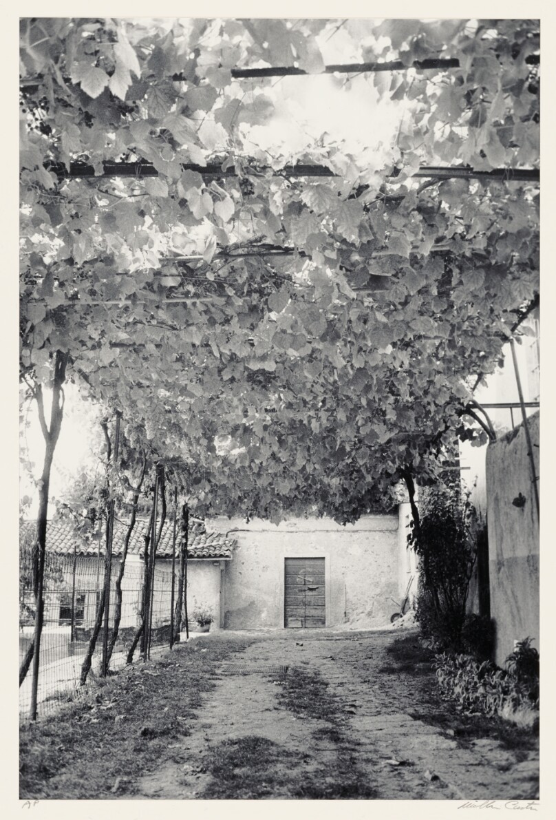 Arbor, Monte Mesma