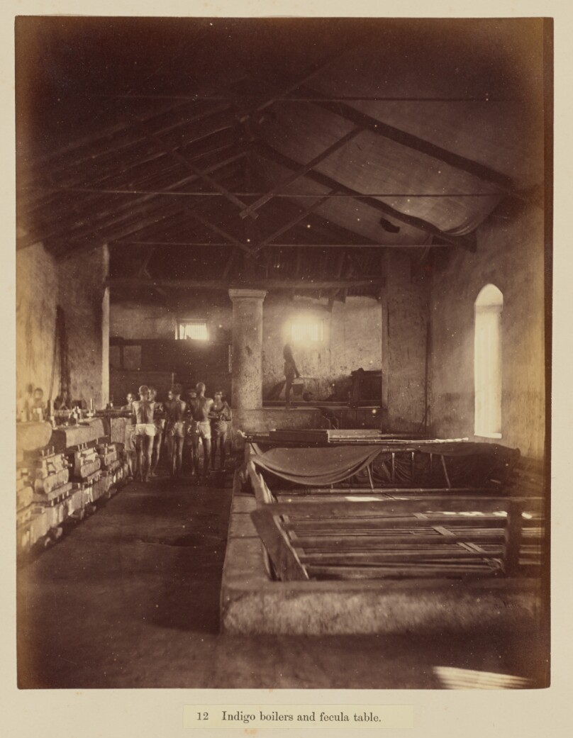 Indigo boilers and fecula table