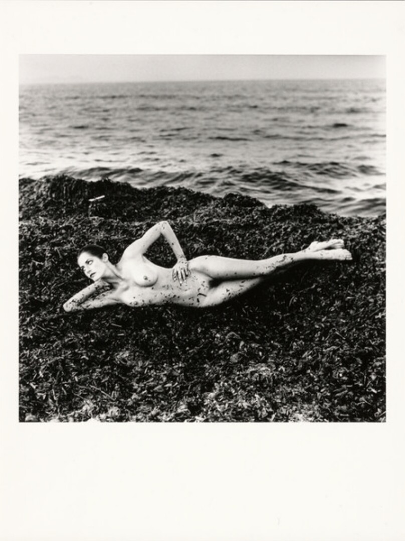 Nude in Seaweed