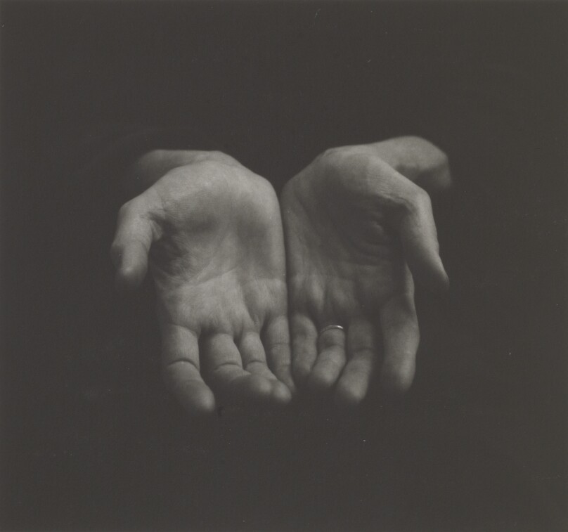 Elizabeth Murray