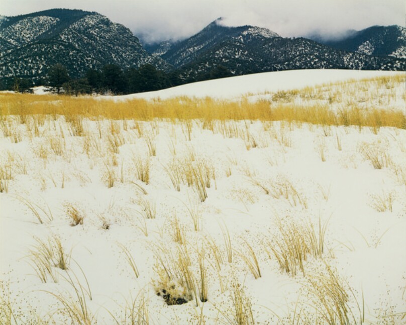 Grass, Snow, Sangre de Cristo Mountains, Great Sand Dunes National Monument, Colorado