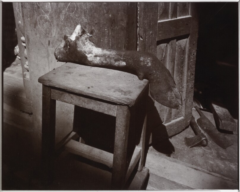 Hoof, Kathmandu, Nepal