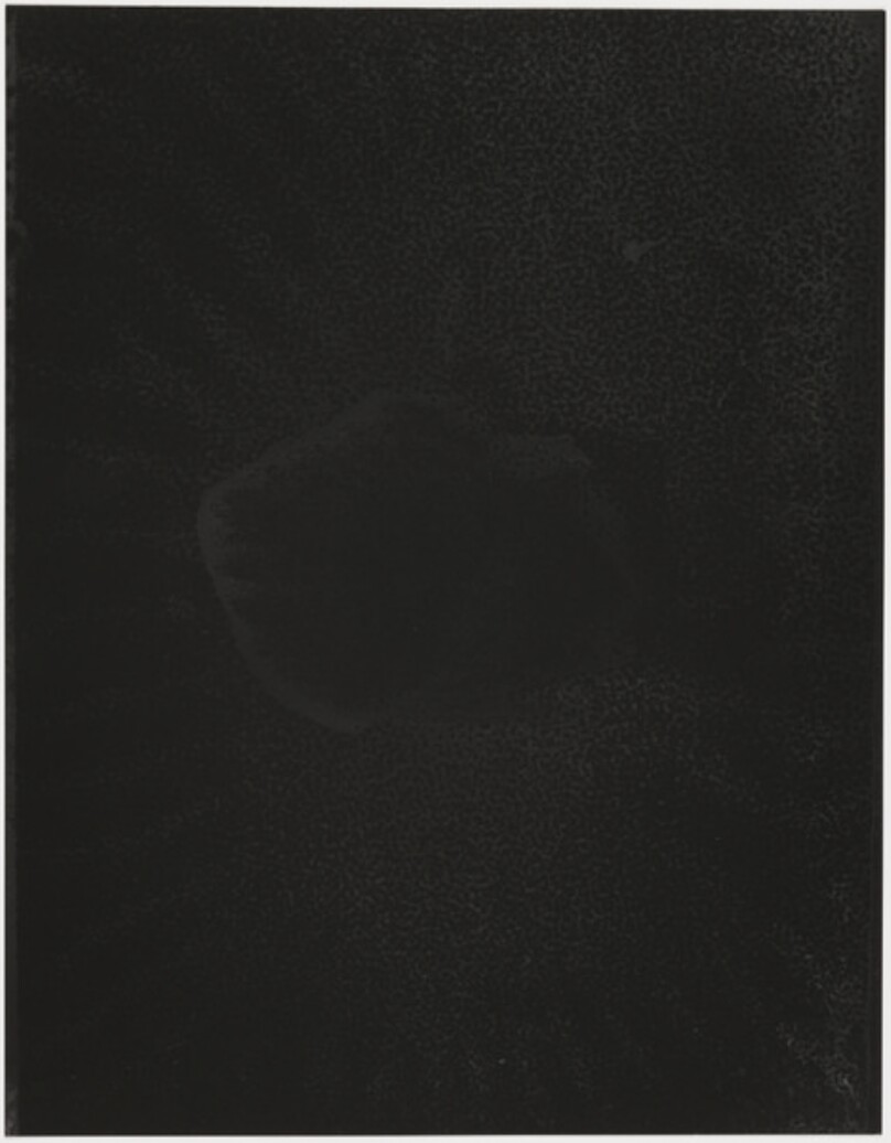 Daisuke Yokota