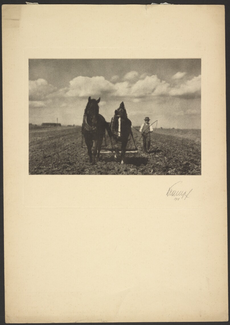 [Man guiding plow with horses]