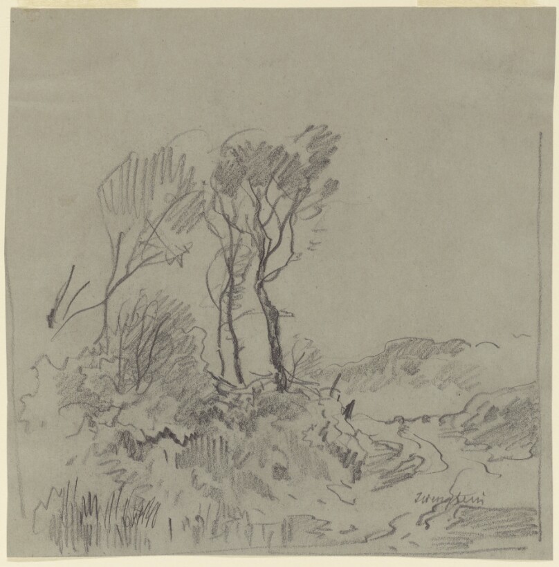 Tree Studies