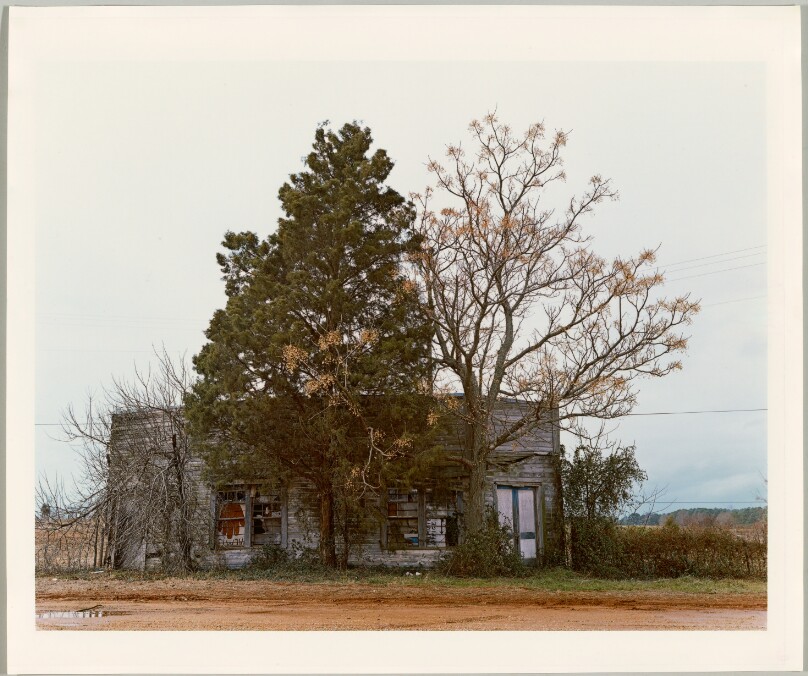Palmist Building (Winter View), Havana, Alabama