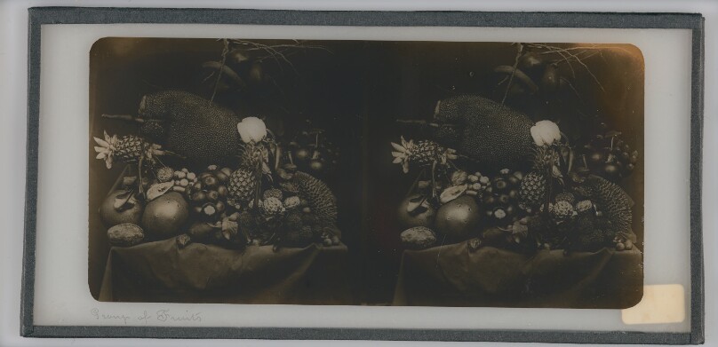 Group of Fruits