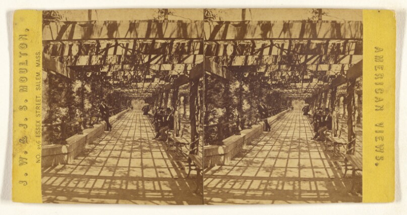Interior Rustic Shelter, Central Park. [New York]