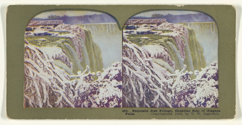 Exquisite Iced Foliage, Canadian Side of Niagara Falls.