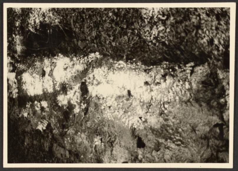 [Light Patterns on a Stream]