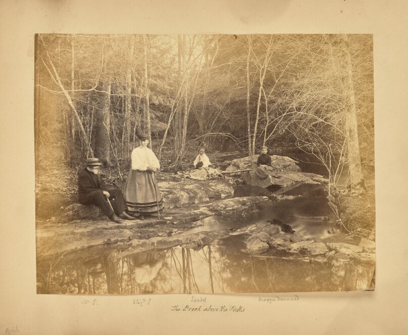 The Brook Above the Falls