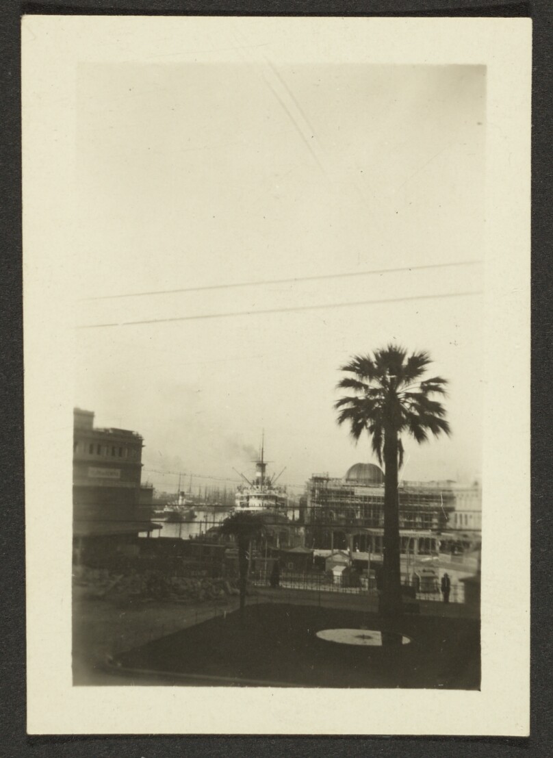 [Landscape with palm tree]