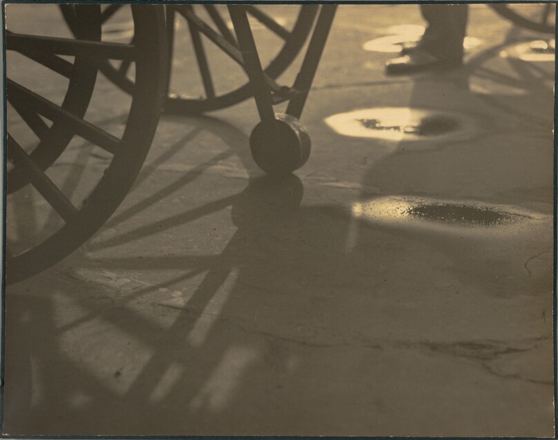 Morning Light