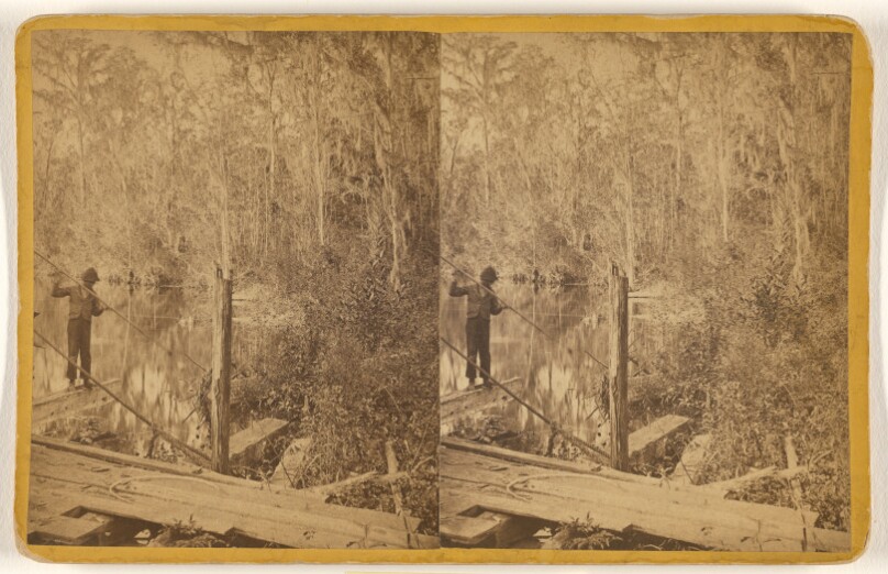 Silver Springs, Fla. Spearing Fish.