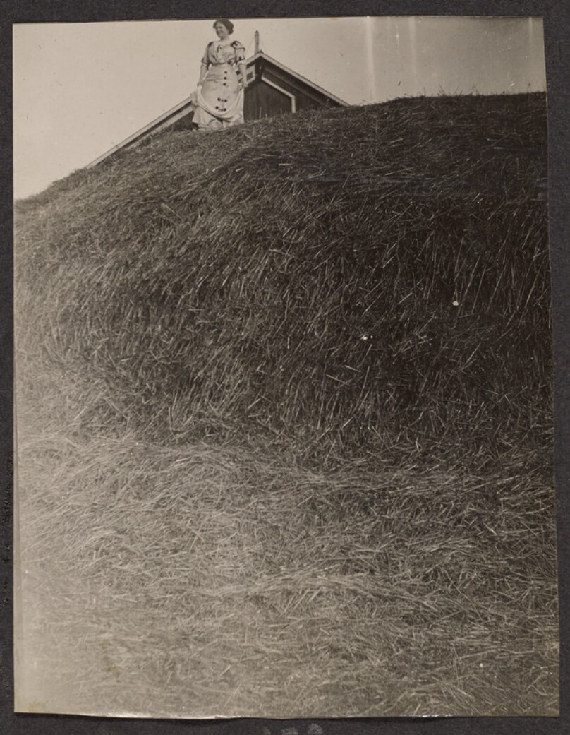 [Woman standing atop a pile of hay]