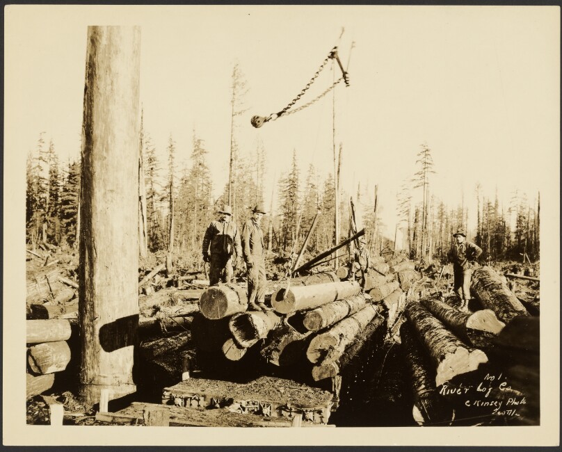 [Logging/ Timber Scene]