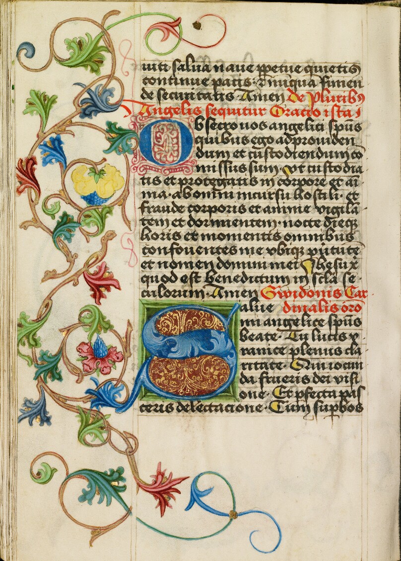 Decorated Initial S