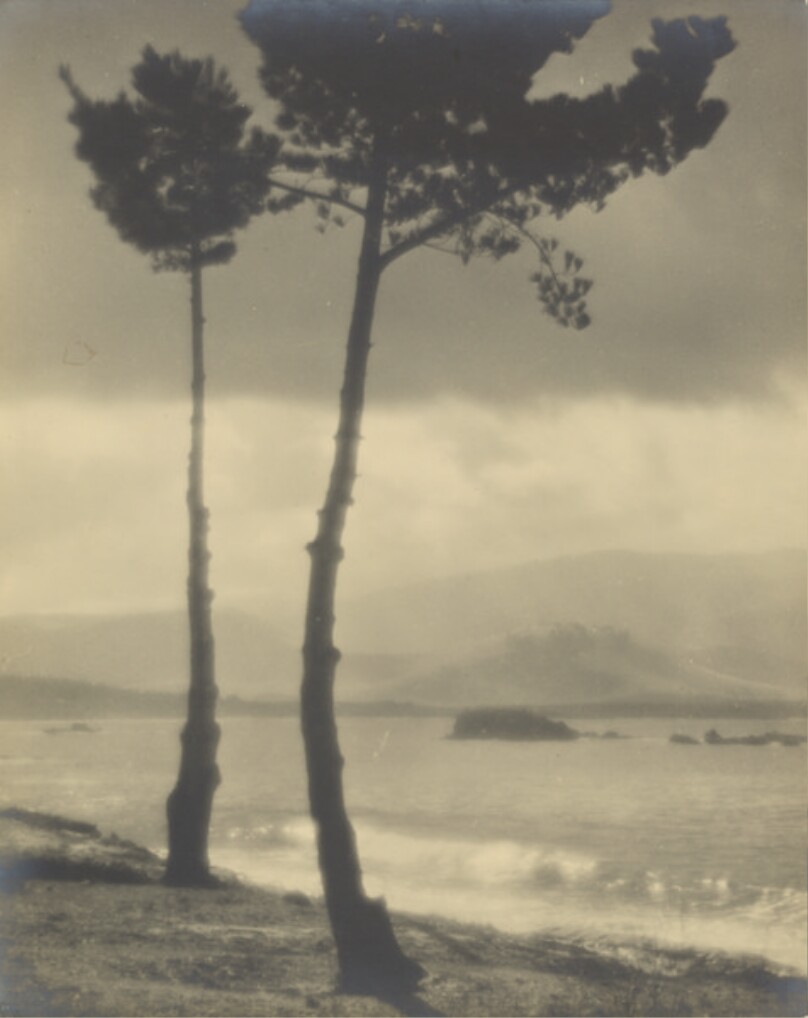 [Lake and Trees]