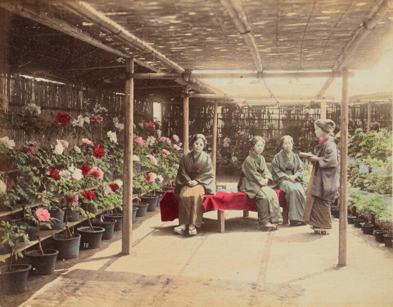 Flower Show