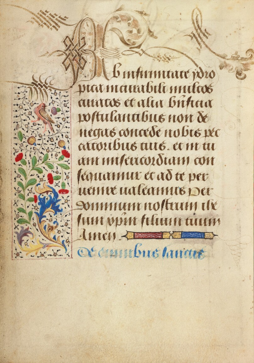 Decorated Text Page