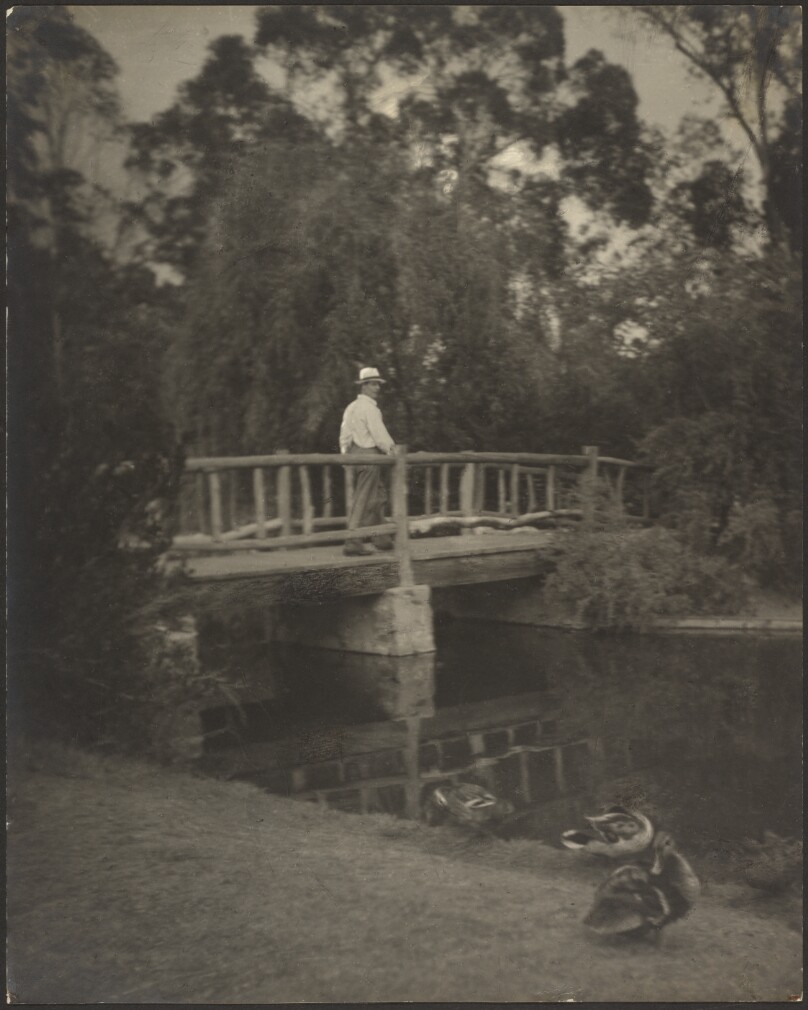 Rustic Bridge