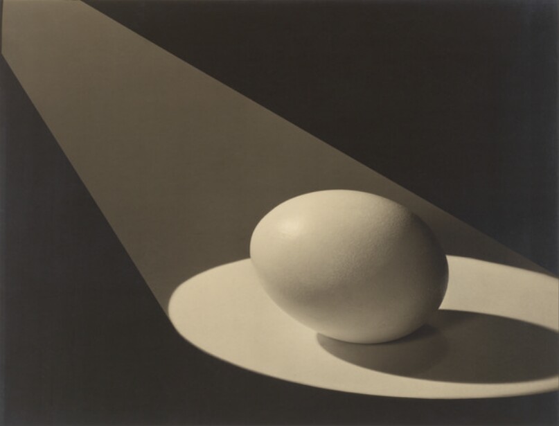 [Egg in Spotlight]