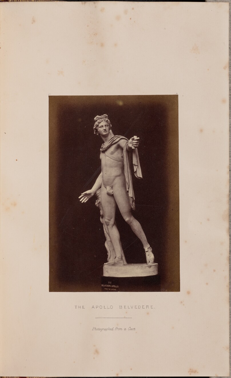 The Apollo Belvedere